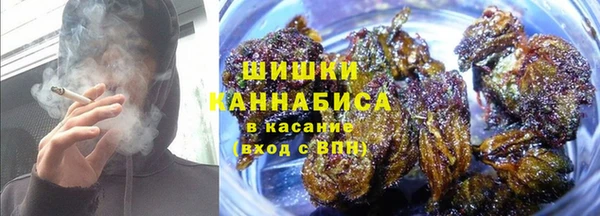 трава Верея